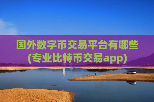国外数字币交易平台有哪些(专业比特币交易app)