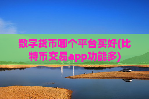 数字货币哪个平台买好(比特币交易app功能多)