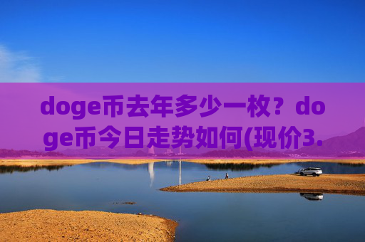 doge币去年多少一枚？doge币今日走势如何(现价3.0165元)