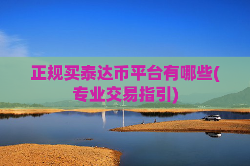 正规买泰达币平台有哪些(专业交易指引)