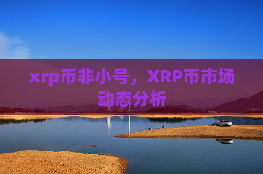xrp币非小号，XRP币市场动态分析