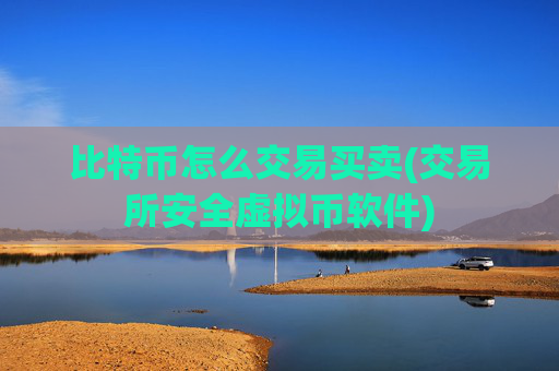 比特币怎么交易买卖(交易所安全虚拟币软件)