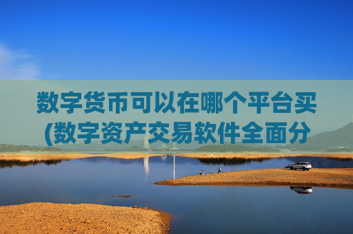 数字货币可以在哪个平台买(数字资产交易软件全面分析)