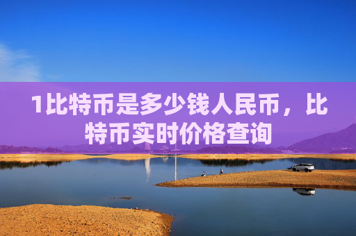 1比特币是多少钱人民币,比特币实时价格查询