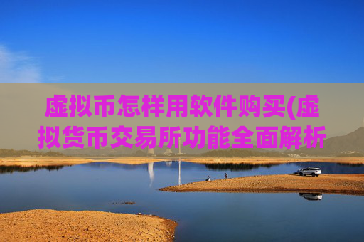 虚拟币怎样用软件购买(虚拟货币交易所功能全面解析)