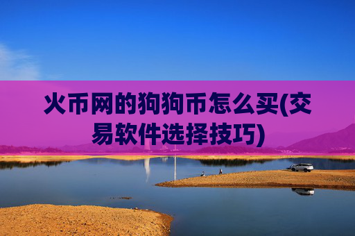 火币网的狗狗币怎么买(交易软件选择技巧)