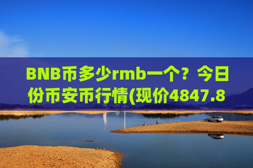 BNB币多少rmb一个?今日份币安币行情(现价4847.86元)
