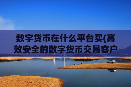数字货币在什么平台买(高效安全的数字货币交易客户端)