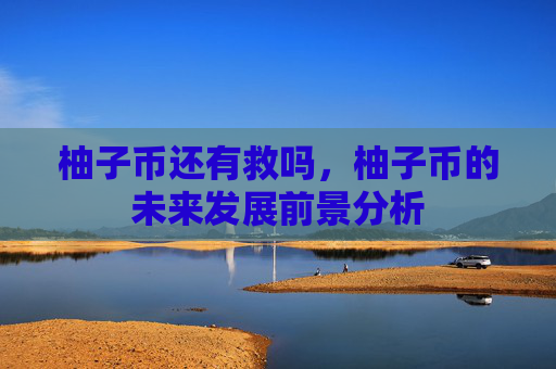 柚子币还有救吗，柚子币的未来发展前景分析