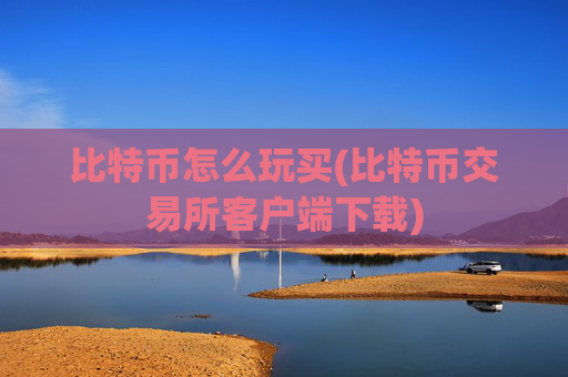 比特币怎么玩买(比特币交易所客户端下载)