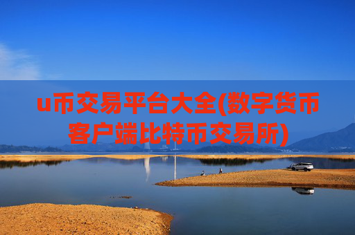 u币交易平台大全(数字货币客户端比特币交易所)