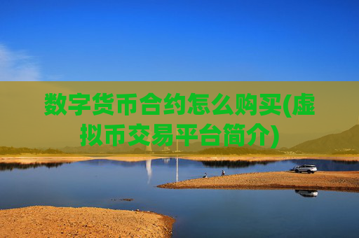 数字货币合约怎么购买(虚拟币交易平台简介)
