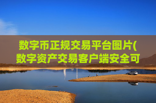 数字币正规交易平台图片(数字资产交易客户端安全可靠)