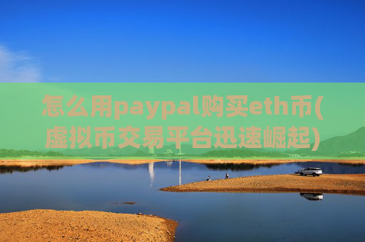怎么用paypal购买eth币(虚拟币交易平台迅速崛起)