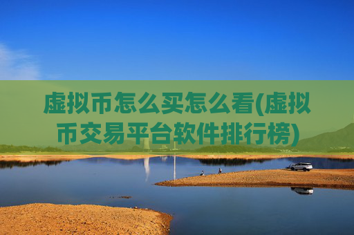 虚拟币怎么买怎么看(虚拟币交易平台软件排行榜)