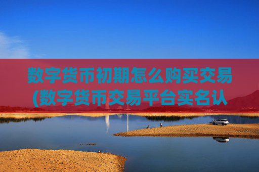 数字货币初期怎么购买交易(数字货币交易平台实名认证步骤)