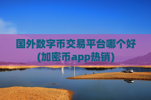 国外数字币交易平台哪个好(加密币app热销)