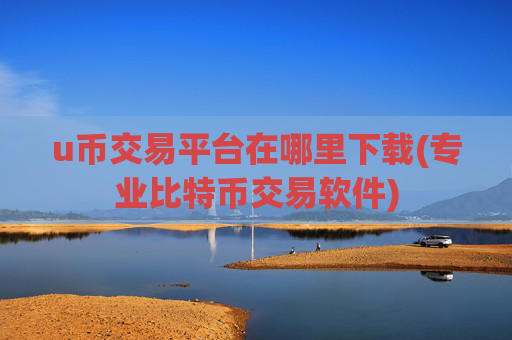 u币交易平台在哪里下载(专业比特币交易软件)