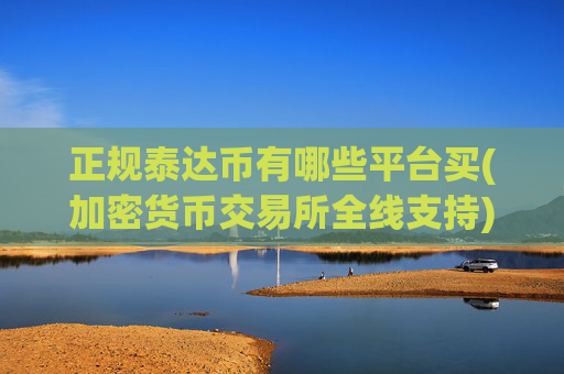 正规泰达币有哪些平台买(加密货币交易所全线支持)