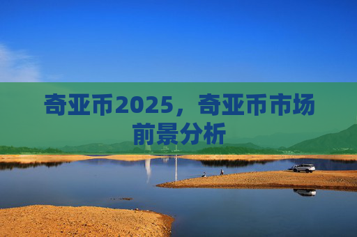 奇亚币2025，奇亚币市场前景分析