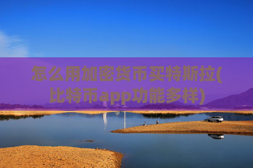 怎么用加密货币买特斯拉(比特币app功能多样)