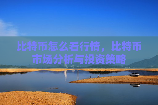 比特币怎么看行情，比特币市场分析与投资策略