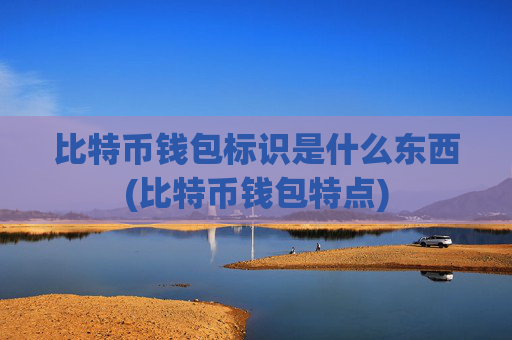 比特币钱包标识是什么东西(比特币钱包特点)