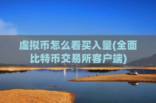 虚拟币怎么看买入量(全面比特币交易所客户端)