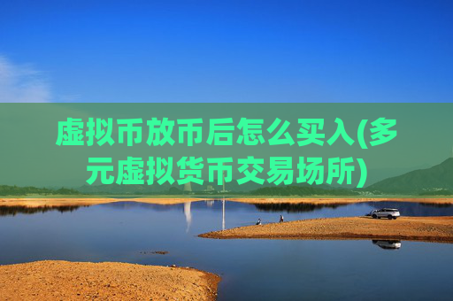 虚拟币放币后怎么买入(多元虚拟货币交易场所)