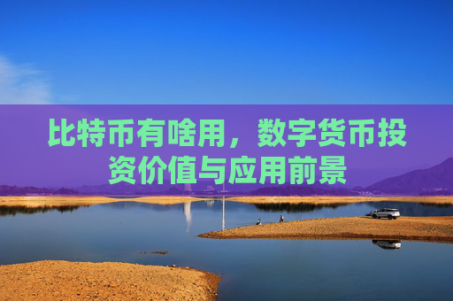 比特币有啥用，数字货币投资价值与应用前景