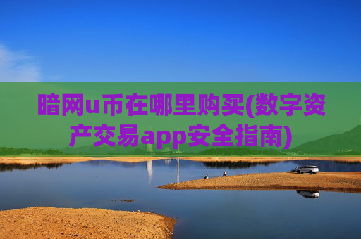 暗网u币在哪里购买(数字资产交易app安全指南)
