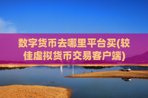 数字货币去哪里平台买(较佳虚拟货币交易客户端)