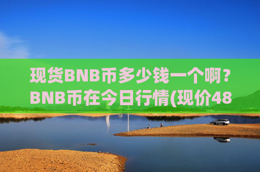 现货BNB币多少钱一个啊？BNB币在今日行情(现价4848.81元)