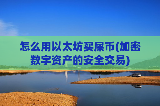 怎么用以太坊买屎币(加密数字资产的安全交易)