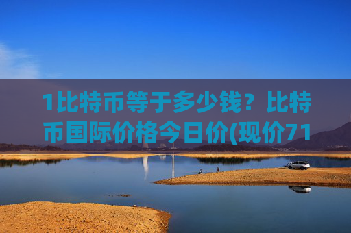 1比特币等于多少钱？比特币国际价格今日价(现价717697.78元)