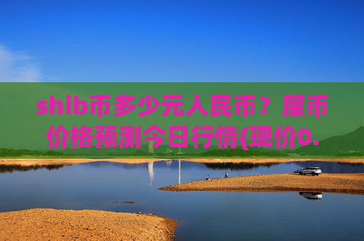 shib币多少元人民币？屎币价格预测今日行情(现价0.00023076元)