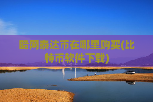 暗网泰达币在哪里购买(比特币软件下载)