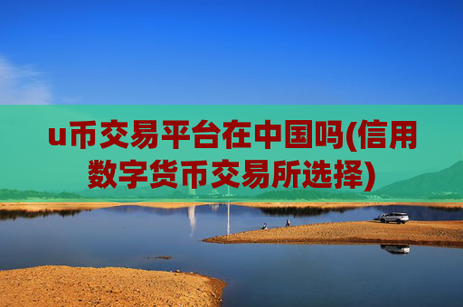 u币交易平台在中国吗(信用数字货币交易所选择)
