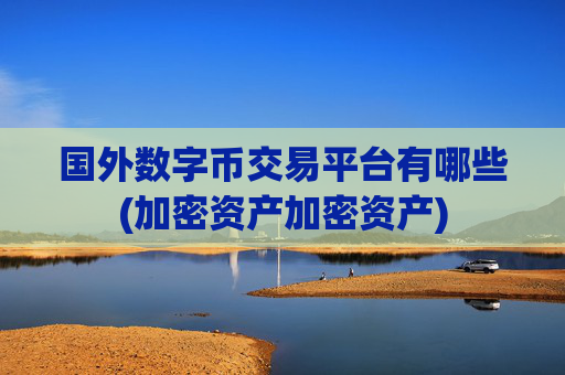 国外数字币交易平台有哪些(加密资产加密资产)