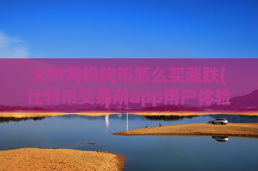 火币网狗狗币怎么买涨跌(比特币交易所app用户体验优化)