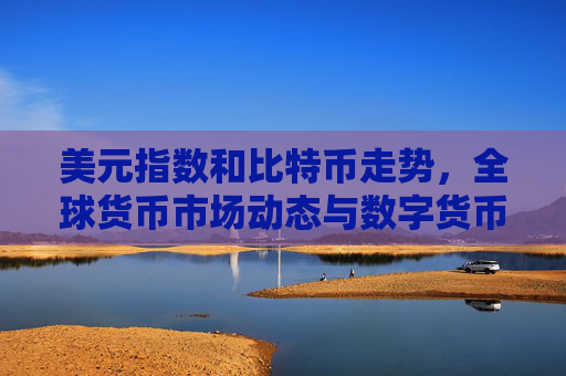 美元指数和比特币走势，全球货币市场动态与数字货币趋势