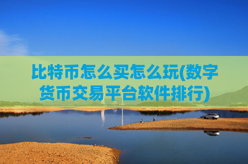 比特币怎么买怎么玩(数字货币交易平台软件排行)