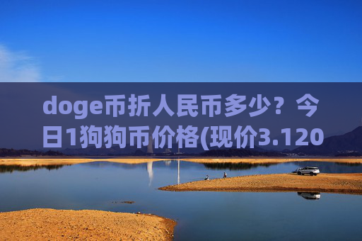 doge币折人民币多少？今日1狗狗币价格(现价3.1206元)