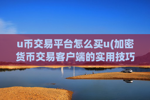 u币交易平台怎么买u(加密货币交易客户端的实用技巧)