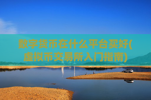 数字货币在什么平台买好(虚拟币交易所入门指南)