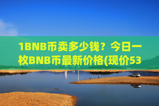 1BNB币卖多少钱？今日一枚BNB币最新价格(现价5334.71元)