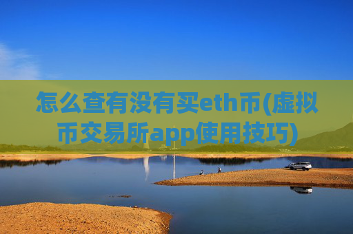 怎么查有没有买eth币(虚拟币交易所app使用技巧)