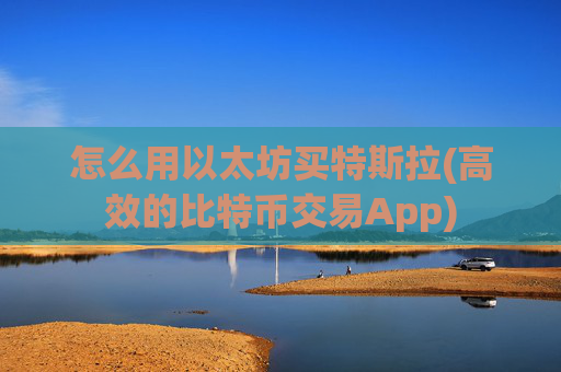 怎么用以太坊买特斯拉(高效的比特币交易App)