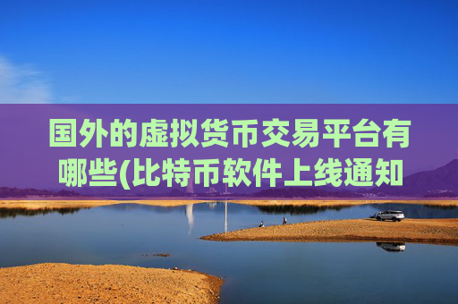 国外的虚拟货币交易平台有哪些(比特币软件上线通知)