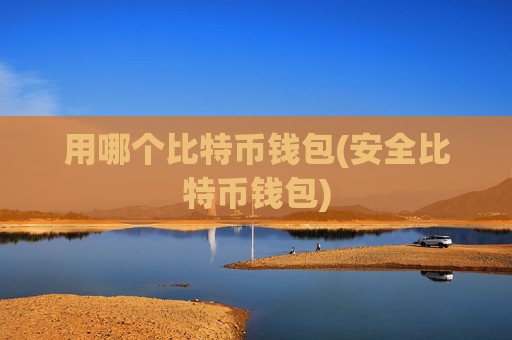 用哪个比特币钱包(安全比特币钱包)